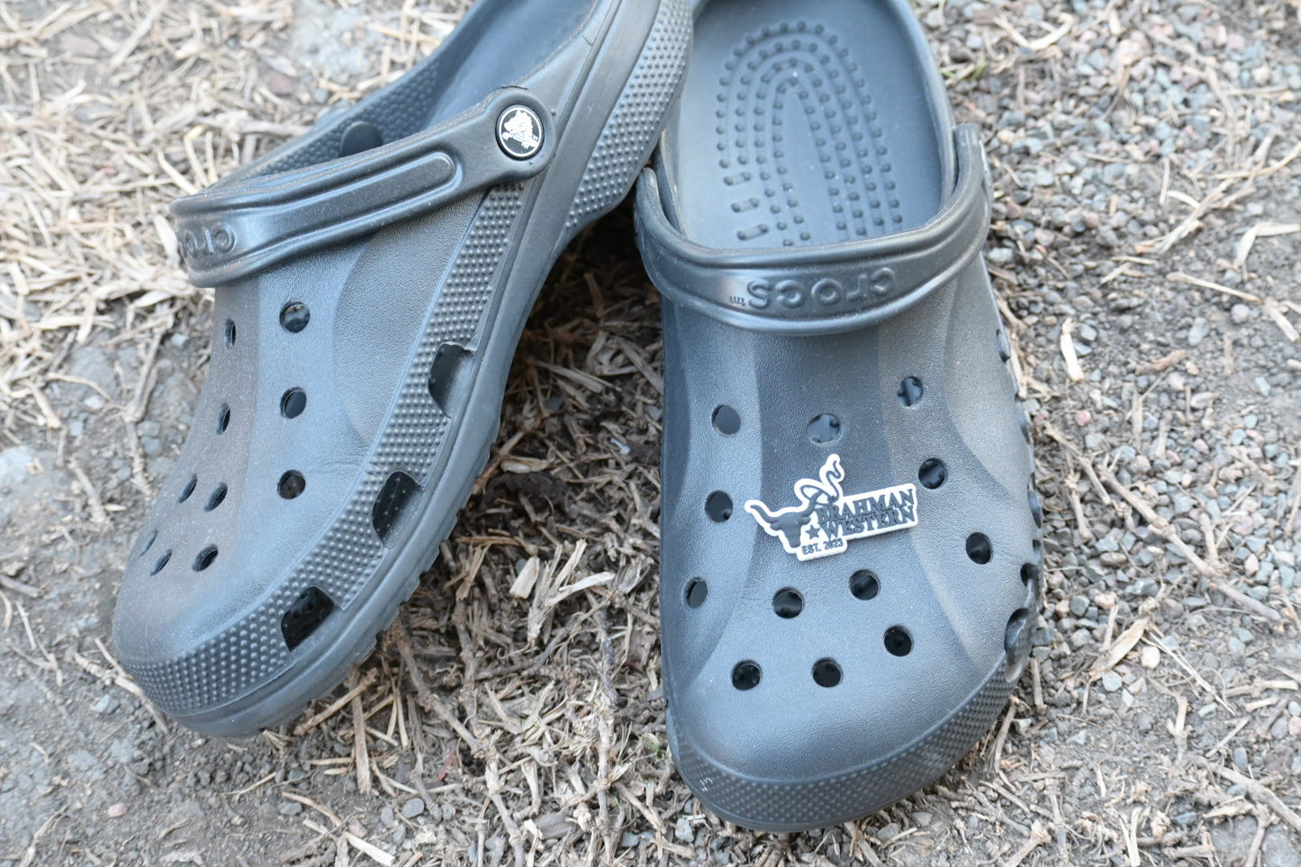 BRAHMAN WESTERN CROC JIBBITZ