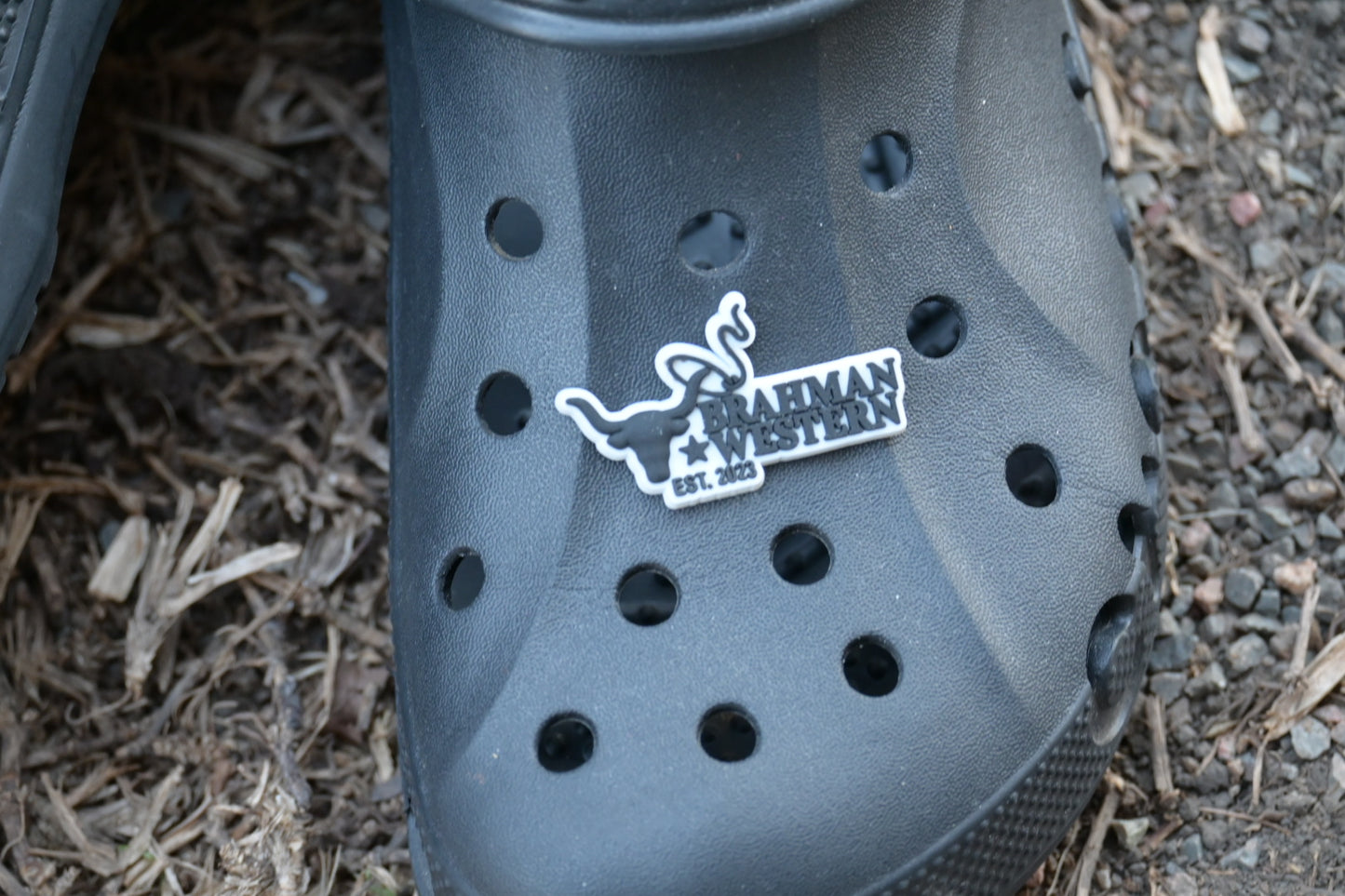 BRAHMAN WESTERN CROC JIBBITZ