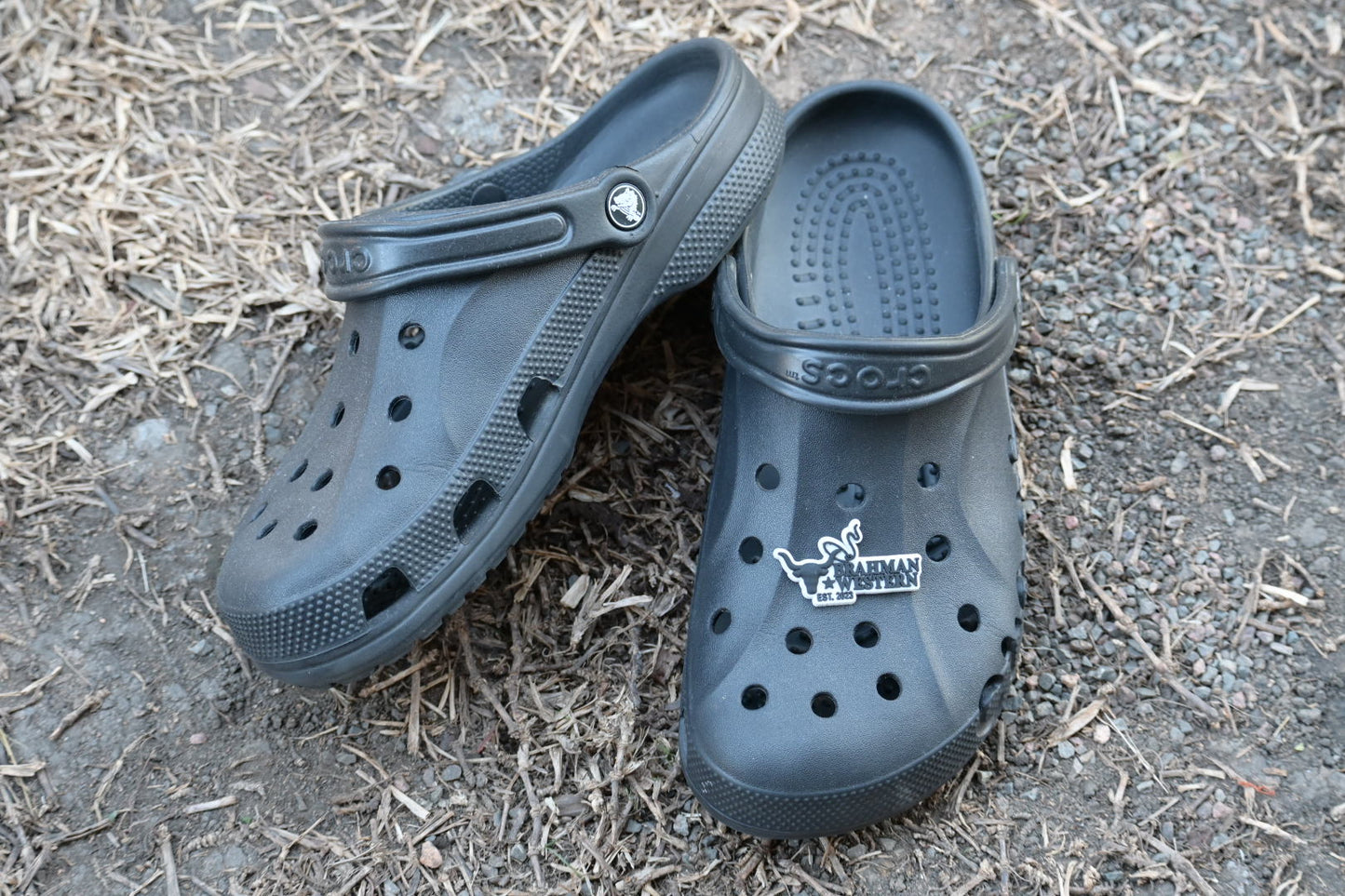BRAHMAN WESTERN CROC JIBBITZ