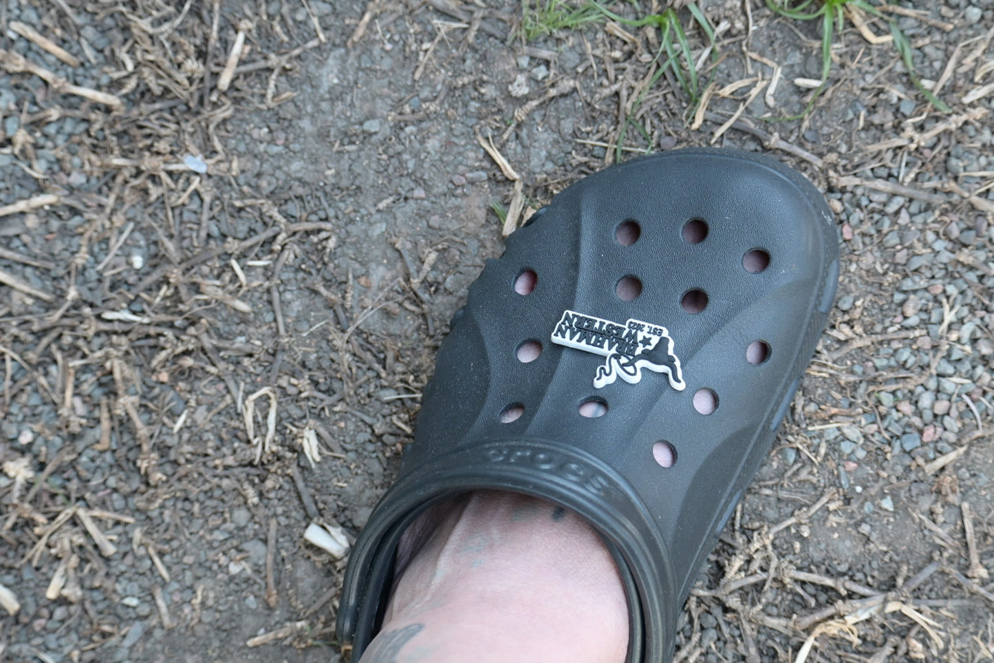 BRAHMAN WESTERN CROC JIBBITZ