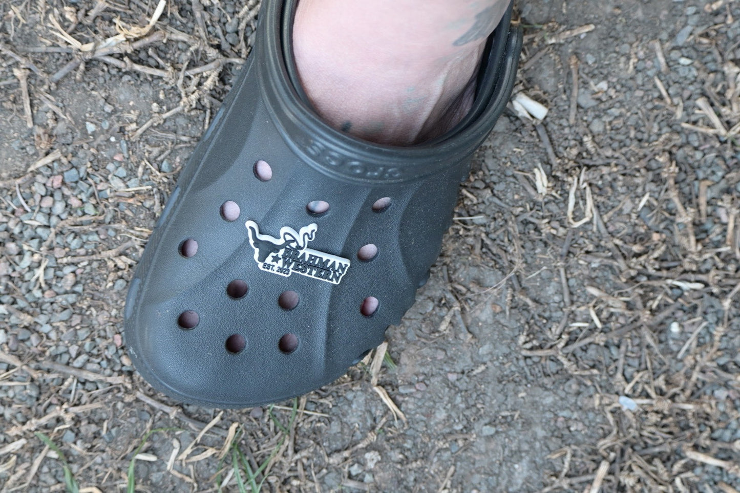 BRAHMAN WESTERN CROC JIBBITZ