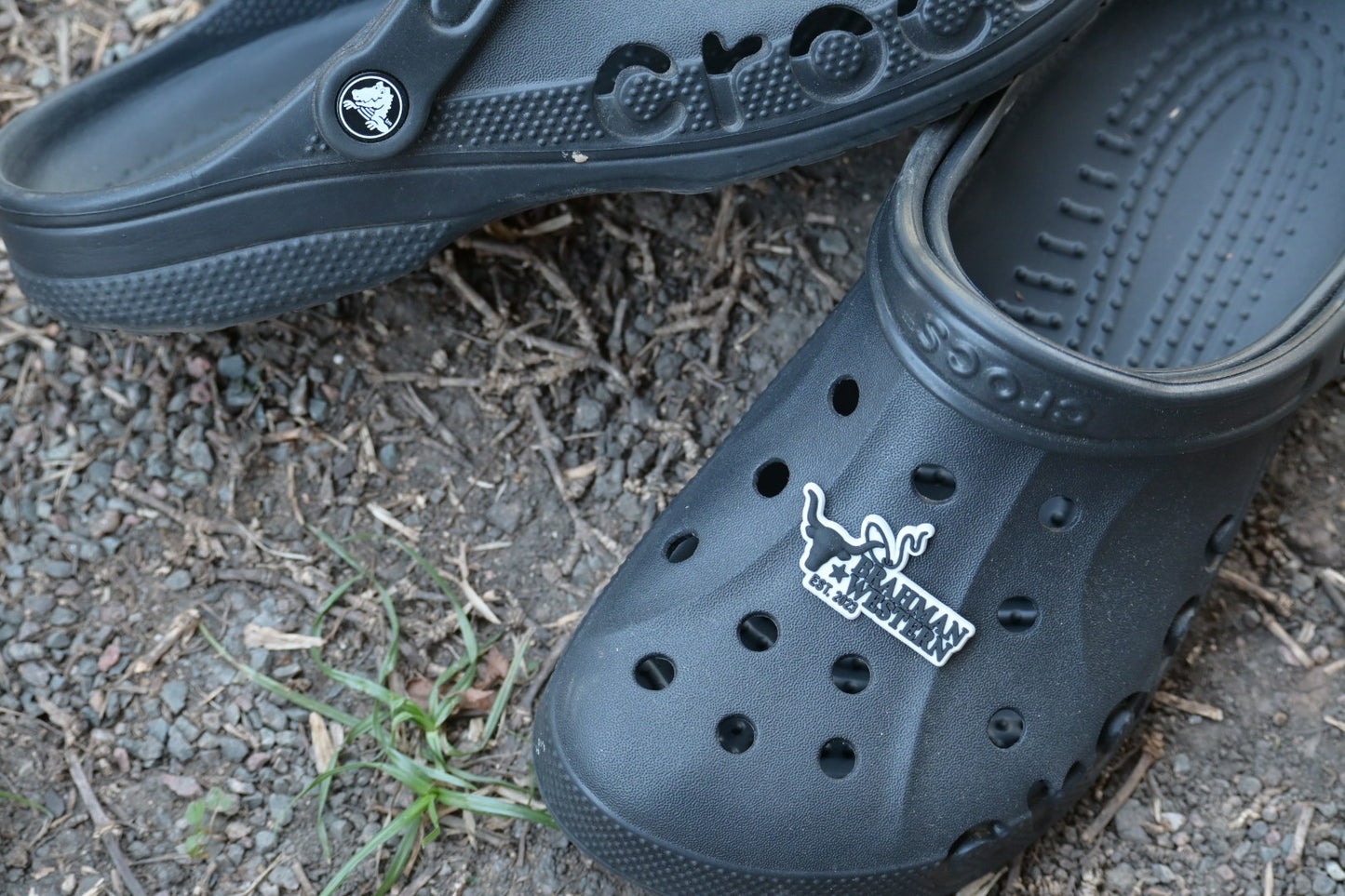 BRAHMAN WESTERN CROC JIBBITZ