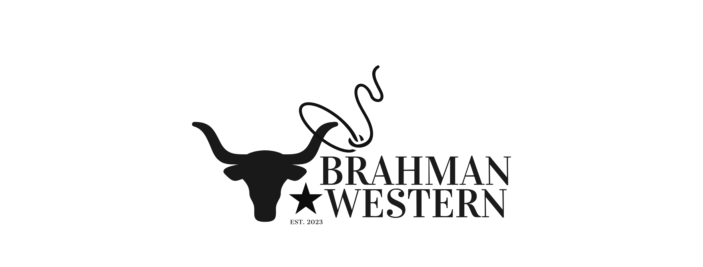 T-Shirt Size Chart – Brahman Western