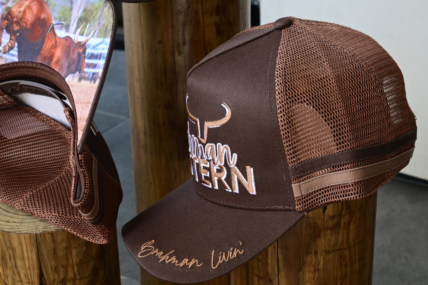 Brahman Western - BROWN-  Trucker Cap