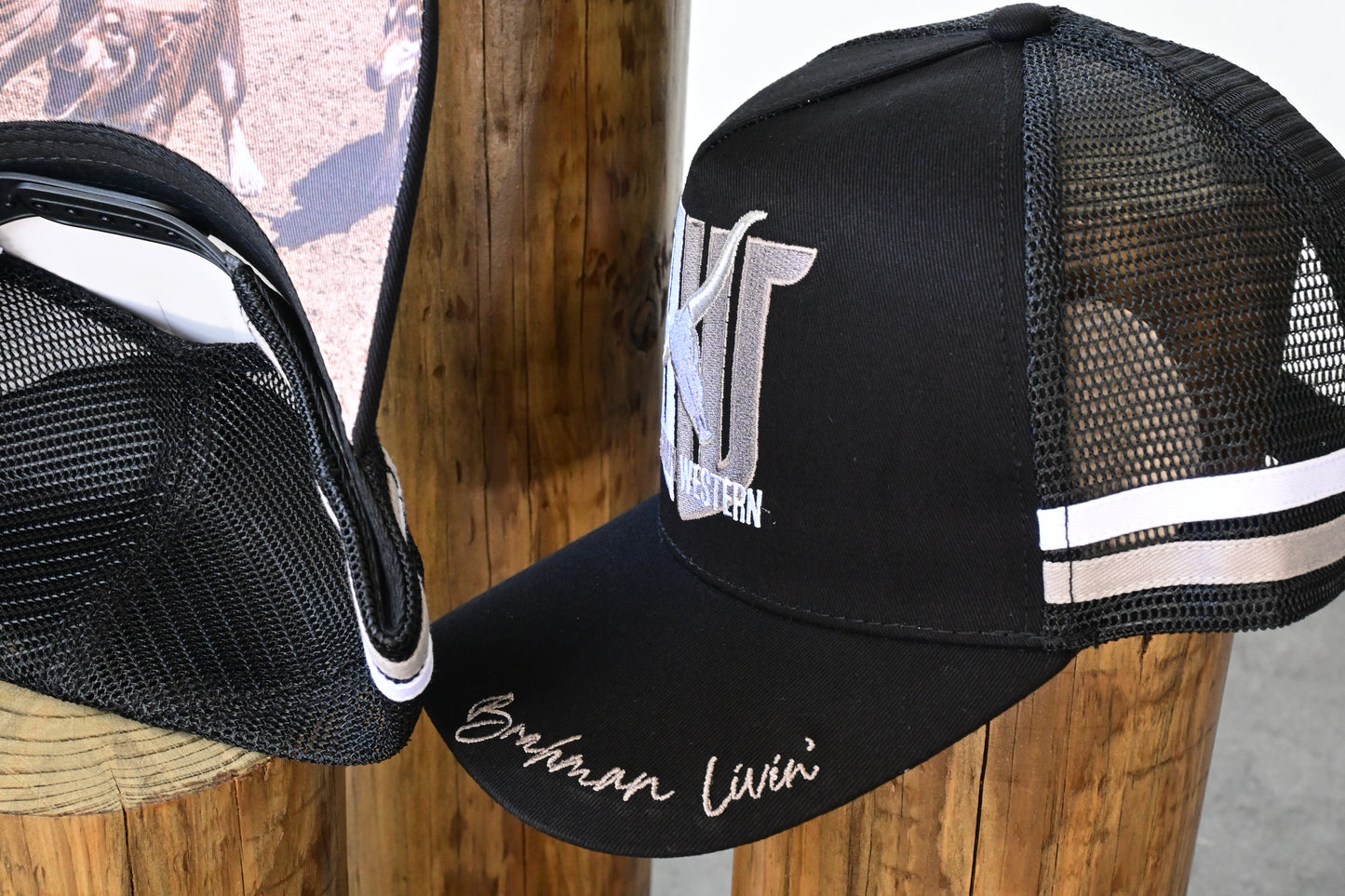 Brahman Western - Black with Grey and White Stripes -  Trucker Cap