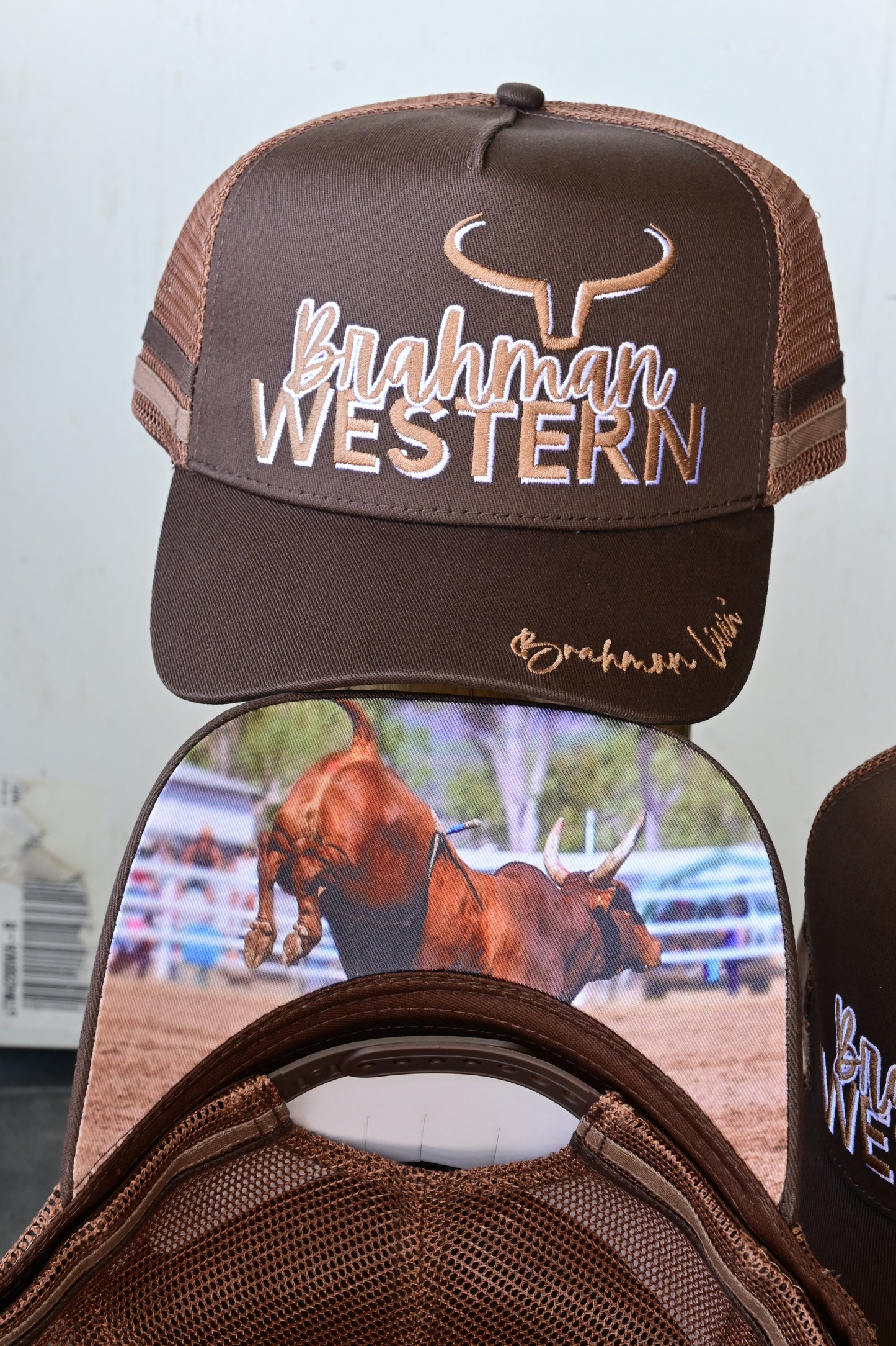 Brahman Western - BROWN-  Trucker Cap