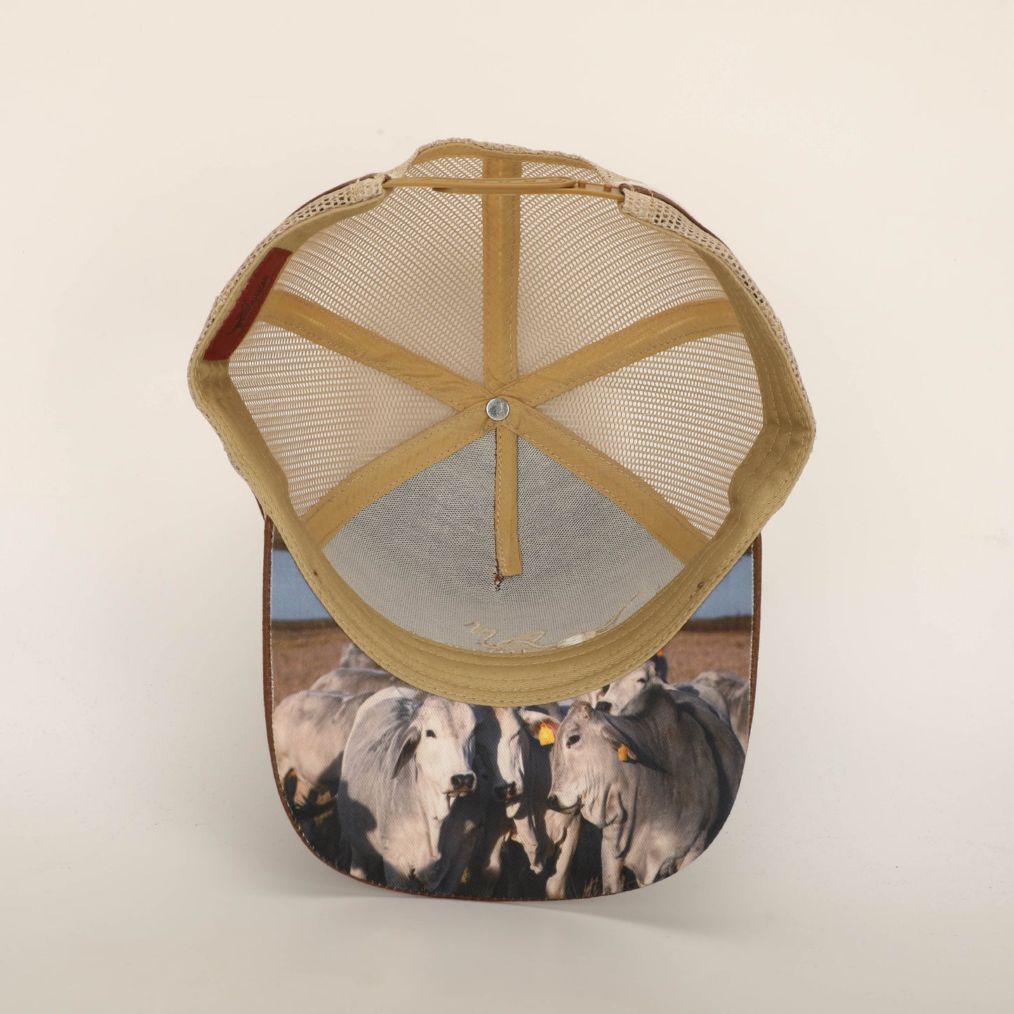 The Braford Trucker Hat - Brown/Cream